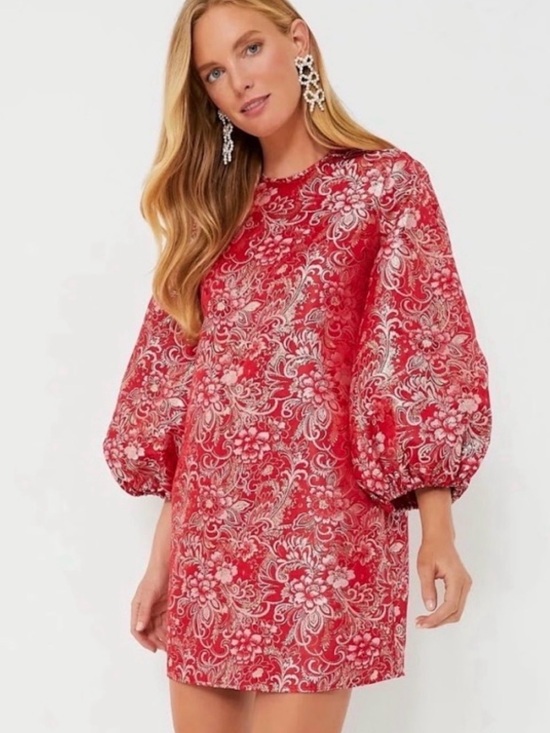 Hyacinth House Dresses & Skirts - Tuckernuck & Hyacinth House Red & Silver Jacquard Janie Dress | M